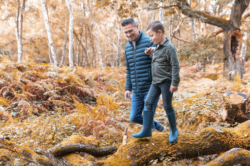 Father helping son walking on tree trunk in Cannock Chase park during autumn - WPEF03518