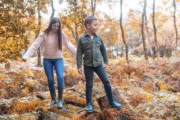 Bruder und Schwester stehen im Herbst auf einem umgestürzten Baum im Park von Cannock Chase - WPEF03519