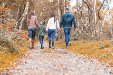 Familie hält sich beim Herbstspaziergang im Park von Cannock Chase an den Händen - WPEF03544