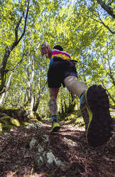 Männlicher Sportler beim Trailrunning auf einem Bergpfad im Wald - SNF00747