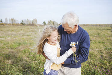 Happy grandfather with granddaughter holding chamomile flowers on field - EYAF01381