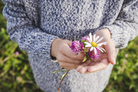 Boy in warm clothing holding pink and white flowers stock photo