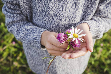 Boy in warm clothing holding pink and white flowers - EYAF01385