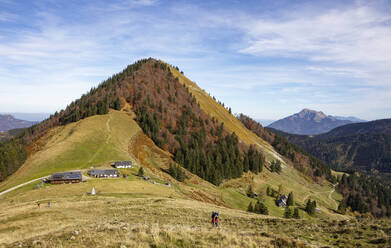 Wanderin auf dem Weg zum Berg im Herbst, Faistenauer Schafberg, Salzkammergut, Österreich, Osterhorngruppe - WWF05623