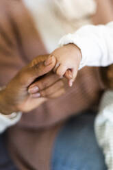 Baby hält die Hand einer Frau - GIOF09505