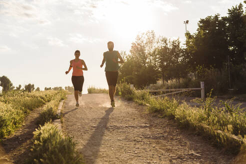 Aktives junges Paar joggt bei Sonnenuntergang im Park - SBAF00062