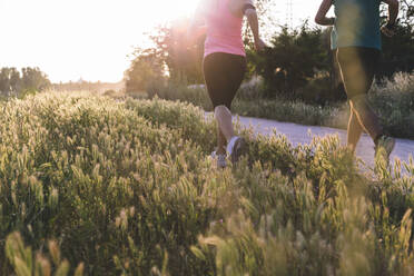 Active female athlete and sportsman jogging in park during sunset - SBAF00063