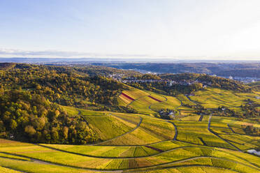 Deutschland, Baden-Württemberg, Rotenberg, Luftaufnahme von ausgedehnten Weinbergen in der Herbstdämmerung - WDF06375