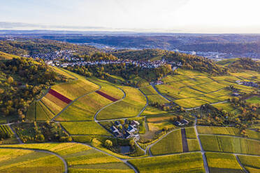 Deutschland, Baden-Württemberg, Rotenberg, Luftaufnahme von ausgedehnten Weinbergen in der Herbstdämmerung - WDF06378