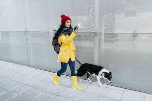 Frau, die ihr Smartphone benutzt, während sie mit ihrem Hund auf dem Fußweg an der Mauer spazieren geht, im Herbst - EBBF01199