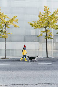 Mittlere erwachsene Frau mit Hund beim Spaziergang auf der Straße im Herbst - EBBF01208