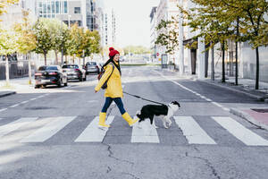 Frau mit Hund auf dem Fußgängerüberweg an einem sonnigen Tag - EBBF01229