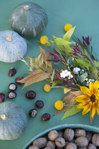 Herbstflora mit Nüssen, Kürbissen und Blumen - GISF00683