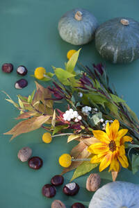 Herbstflora mit Nüssen, Kürbissen und Blumen - GISF00684