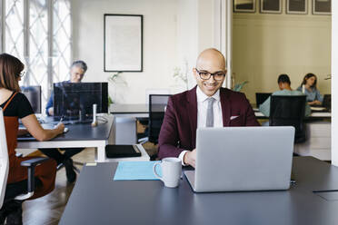 Smiling bald businessman working on laptop at desk in office - JRFF04836