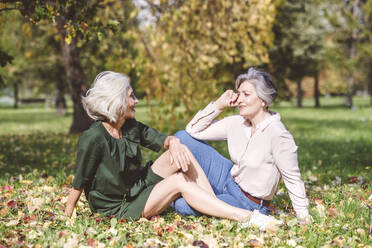 Reife Frauen im Gespräch im Park sitzend - VYF00237