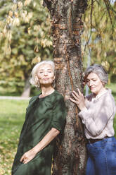 Friends leaning and embracing tree while standing at park - VYF00242