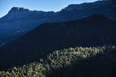 Bewaldetes Tal in den Rocky Mountains in der Abenddämmerung mit Fishers Peak im Hintergrund - BCDF00515