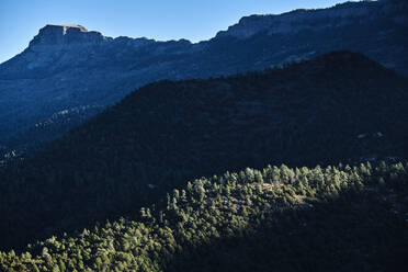 Forested valley in Rocky Mountains at dusk with Fishers Peak in background - BCDF00515