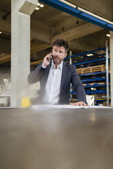 Geschäftsmann, der im Stehen in einer Fabrik mit seinem Mobiltelefon spricht - DIGF13013