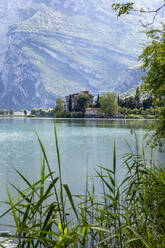 Italien, Trentino, Schilf am Ufer des Lago di Toblino im Sommer mit Castel Toblino im Hintergrund - MAMF01383
