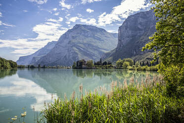 Italien, Trentino, Schilf am Ufer des Lago di Toblino im Sommer mit Castel Toblino im Hintergrund - MAMF01384