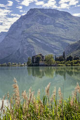 Italien, Trentino, Schilf am Ufer des Lago di Toblino im Sommer mit Castel Toblino im Hintergrund - MAMF01385