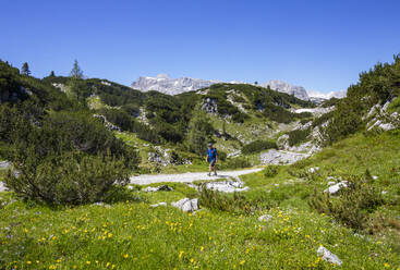 Senior man hiking in Hoher Dachstein during summer - WWF05632