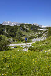 Senior man hiking in Hoher Dachstein during summer - WWF05633