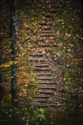 Alte, mit Herbstlaub bedeckte Stufen am Hang - MRF02370