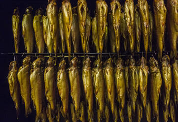 View of golden fishes hanging on rack in smokehouse - AJOF00540