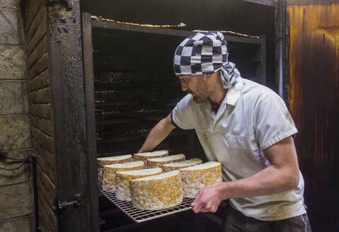 Arbeiter, der ein Tablett mit Stiltonkäse in die Räucherkammer einer Lebensmittelfabrik einlegt - AJOF00542