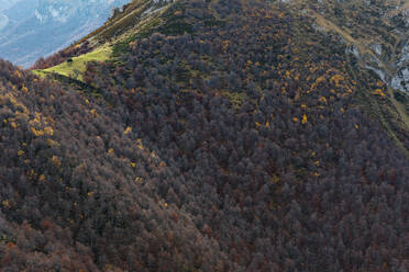 Bewaldeter Bergrücken in den Picos de Europa im Herbst - JMPF00525