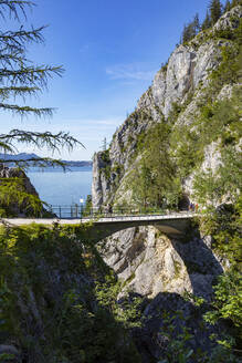 Brücke über den Lainaugraben am Traunstein, Gmunden, Traunsee, Salzkammergut, Österreich, Oberösterreich - WWF05671