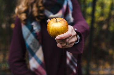 Woman showing apple during autumn - JMPF00532