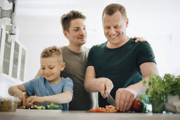 Lächelnde homosexuelle Väter und Söhne beim Gurkenschneiden in der Küche - MASF20558