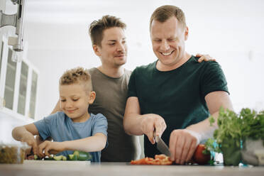 Smiling homosexual fathers and son cutting cucumber in kitchen - MASF20558