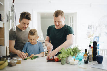 Homosexual fathers and son cutting cucumber in kitchen - MASF20559