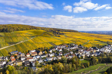 Deutschland, Hessen, Martinsthal, Blick aus dem Hubschrauber auf eine ländliche Stadt im Herbst mit Weinbergen im Hintergrund - AMF08652