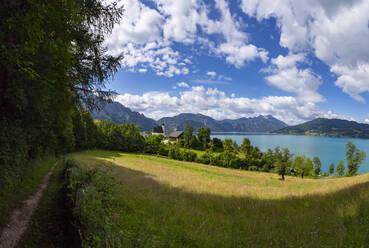 Österreich, Oberösterreich, Steinbach am Attersee, Fußweg am Rande einer ländlichen Wiese im Sommer mit dem Attersee im Hintergrund - WWF05686