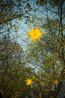 Star shaped Christmas decorations glowing outdoors at dusk - SKAF00151