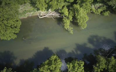 Luftaufnahme von Powell River im Sommer - BCDF00520