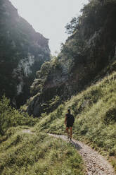 Frau beim Wandern auf einem Bergpfad an einem sonnigen Tag - DMGF00292