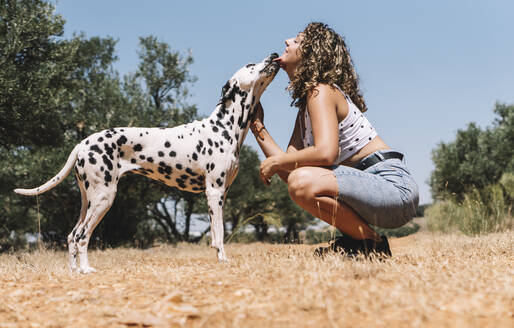 Hund leckt das Gesicht einer jungen Frau, die an einem sonnigen Tag auf einem Feld hockt - ABAYF00015
