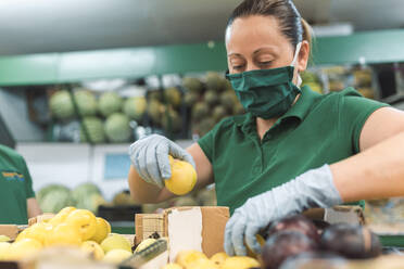 Eine Frau mit einer Maske, die Obst in den Obstladen stellt - CAVF90415