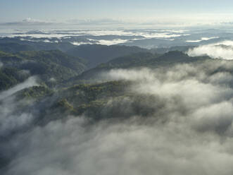 Luftaufnahme von tief hängenden Wolken, die bewaldete Hügel einhüllen - BCDF00523
