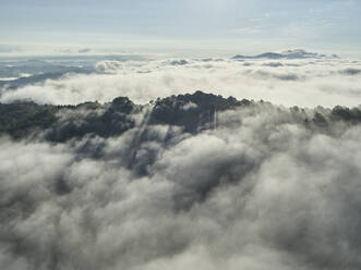 Luftaufnahme von tief hängenden Wolken, die bewaldete Hügel einhüllen - BCDF00528