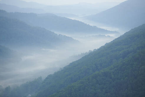 Luftaufnahme des in Morgennebel gehüllten Waldes in den Appalachen - BCDF00539