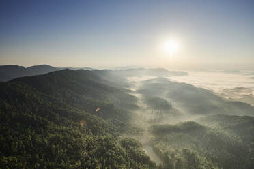 Aerial view of Appalachian forest at foggy sunrise - BCDF00548