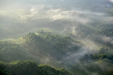 Aerial view of Appalachian forest shrouded in morning fog - BCDF00549